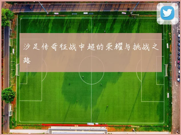 沙足传奇征战中超的荣耀与挑战之路