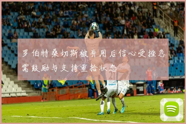 罗伯特桑切斯被弃用后信心受挫急需鼓励与支持重拾状态