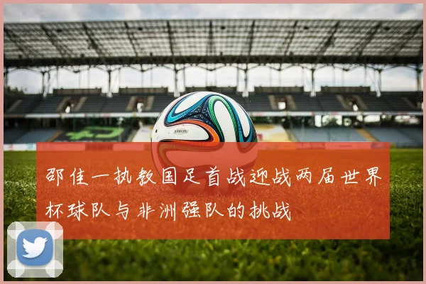 邵佳一执教国足首战迎战两届世界杯球队与非洲强队的挑战