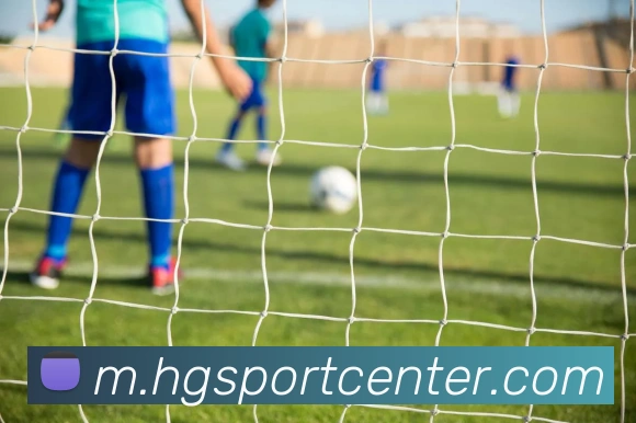 皇冠体育平台生态图